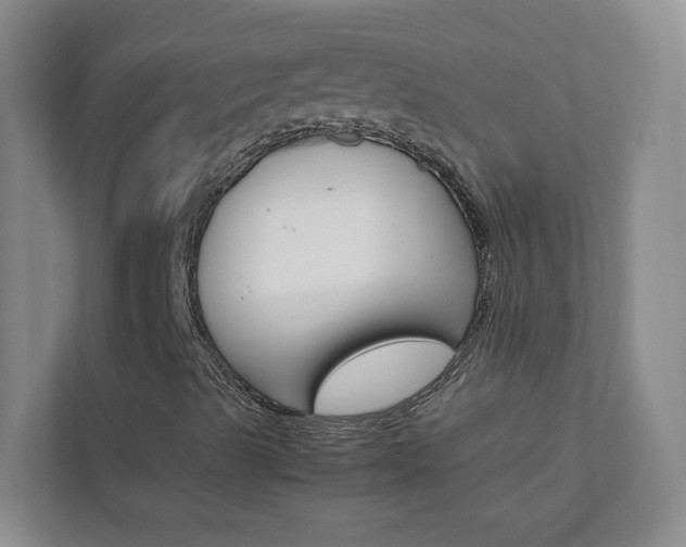 X0000113041489200908271024