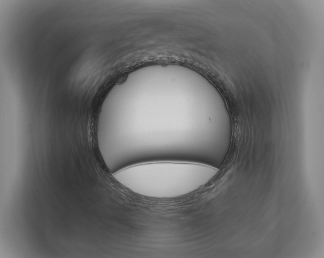 X0000113041490200908271024