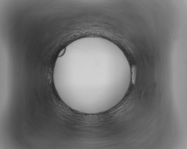 X0000113041491200908271024