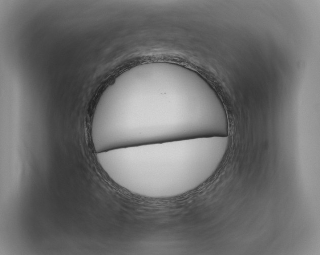 X0000113041493200908271024