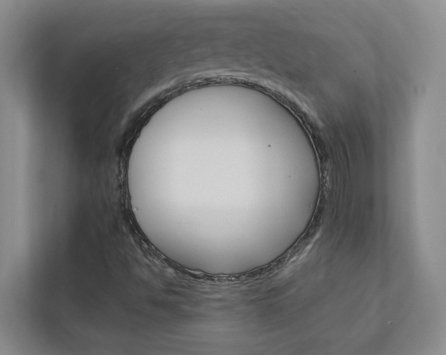 X0000113041494200908271024