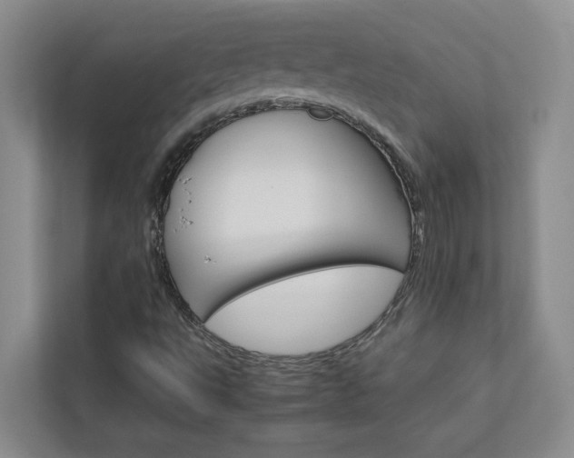 X0000113041495200908271024