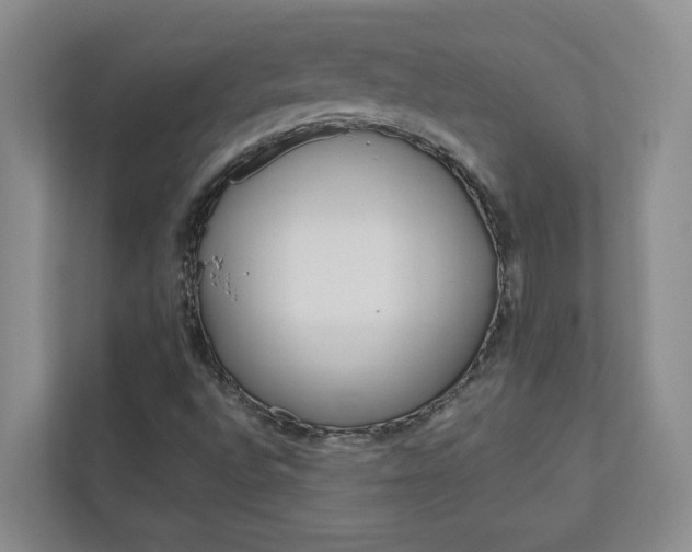 X0000113041496200908271024