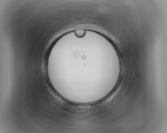 X0000113041498200908271024