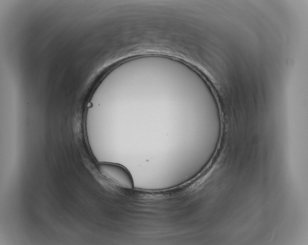 X0000113041499200908271024