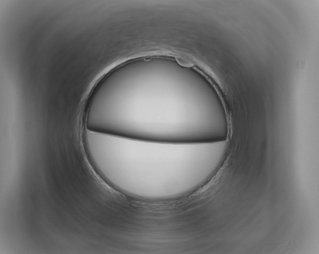 X0000113041500200908271024