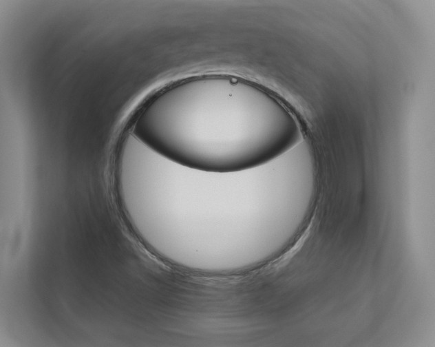 X0000113041502200908271024