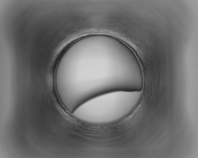 X0000113041503200908271024