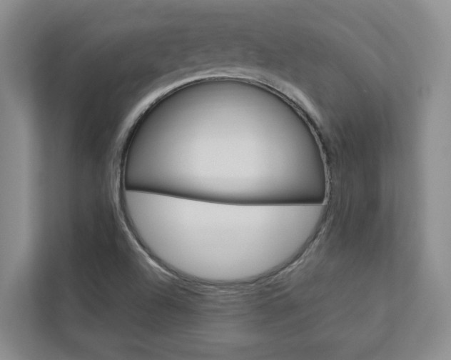 X0000113041504200908271024