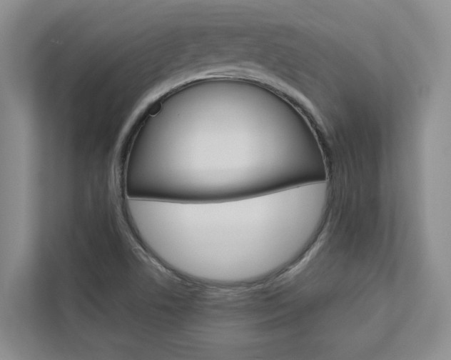 X0000113041506200908271024
