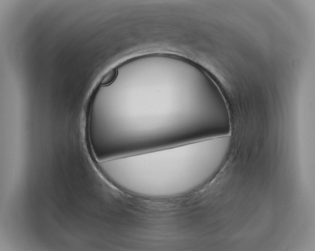 X0000113041508200908271024