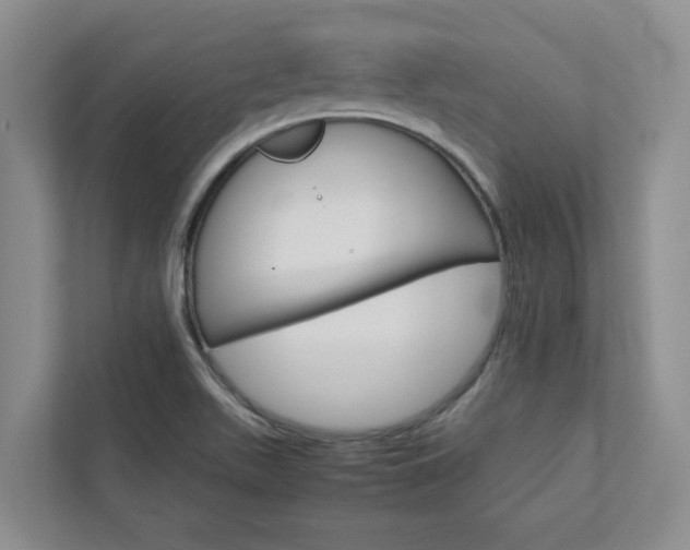X0000113041511200908271024