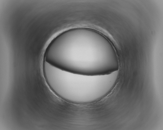X0000113041512200908271024