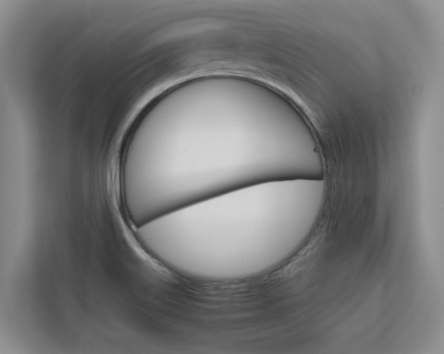 X0000113041515200908271024