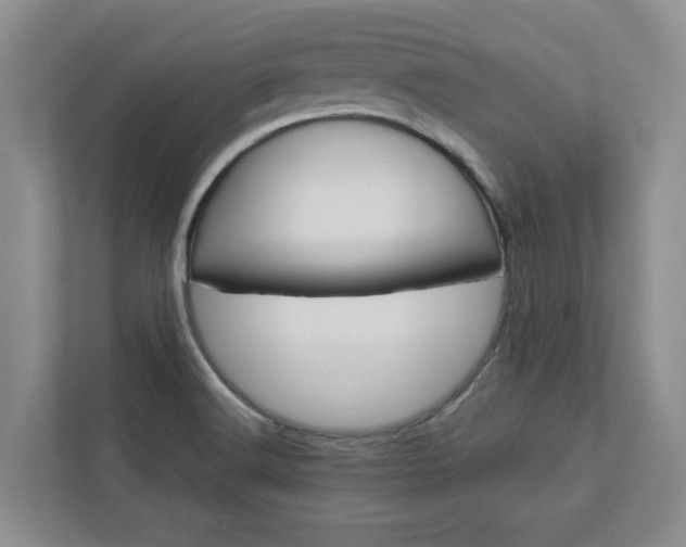 X0000113041516200908271024