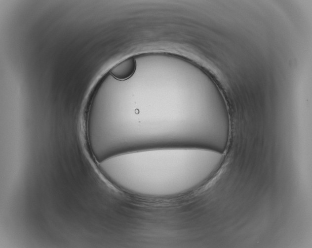 X0000113041517200908271024