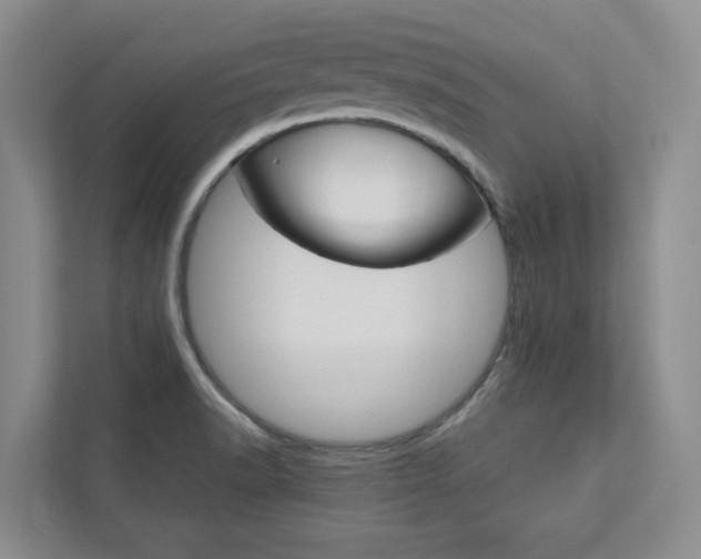 X0000113041518200908271024