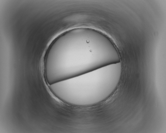 X0000113041519200908271024