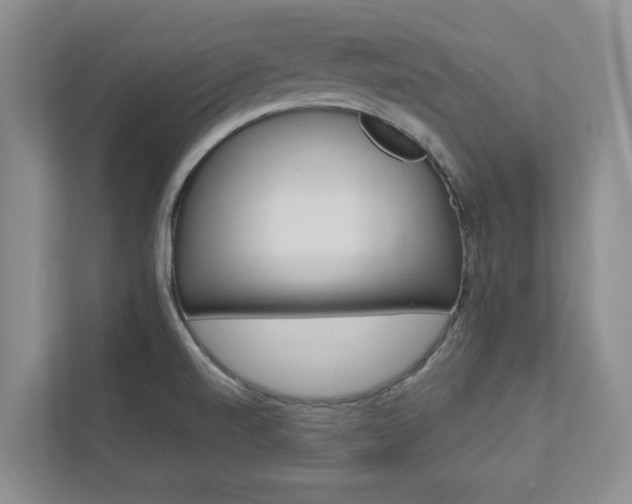 X0000113041520200908271024