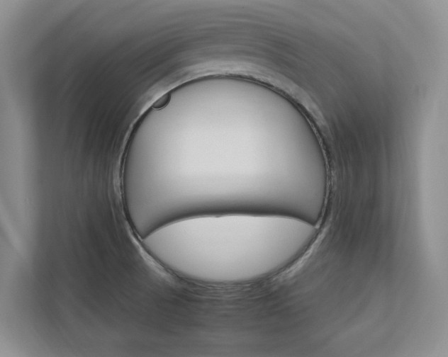 X0000113041521200908271024