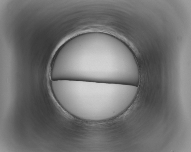X0000113041522200908271024