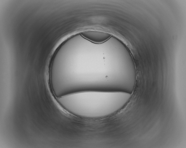 X0000113041523200908271024