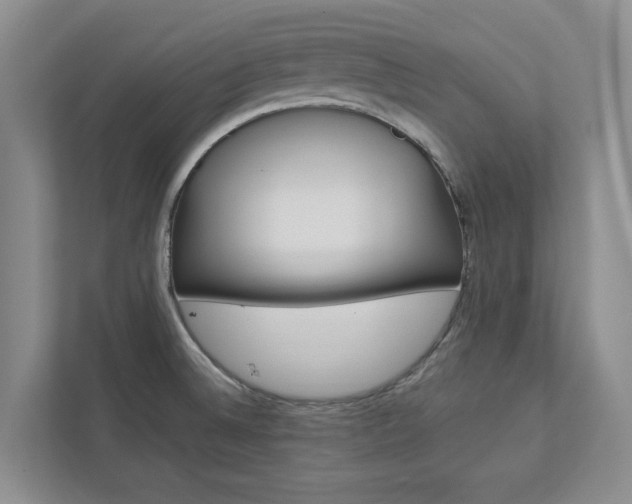 X0000113041524200908271024