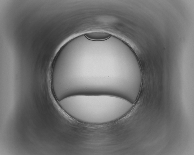 X0000113041526200908271024