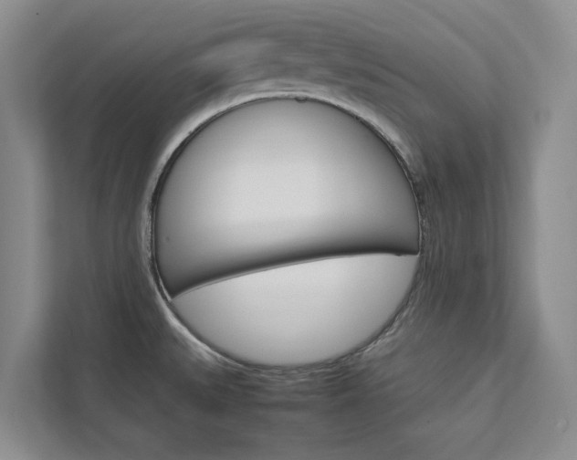 X0000113041527200908271024