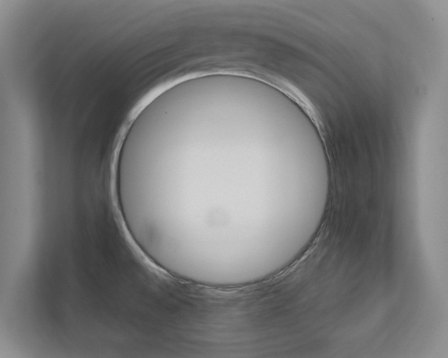 X0000113041528200908271024