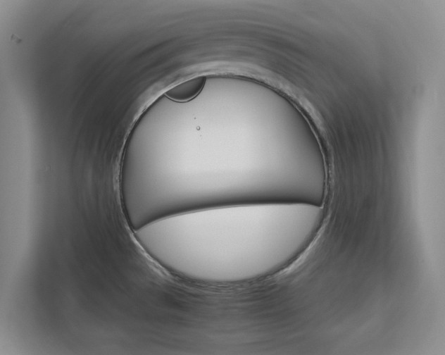 X0000113041529200908271024