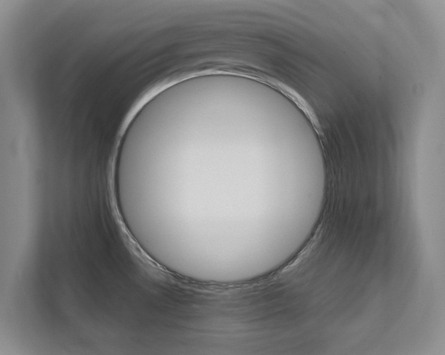 X0000113041530200908271024