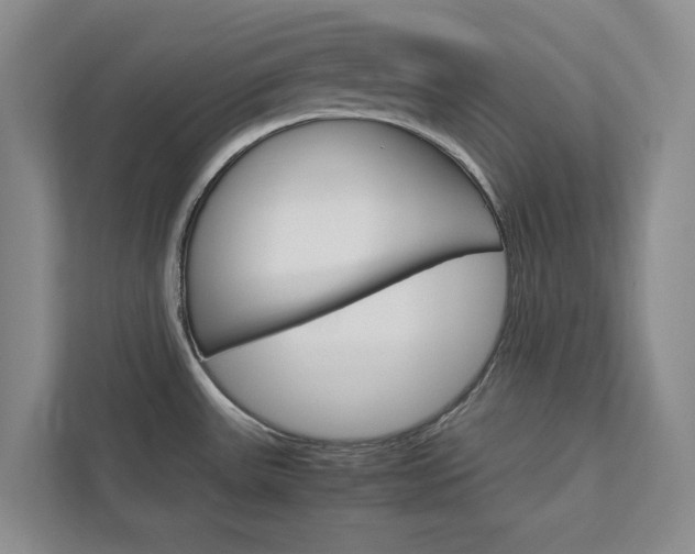 X0000113041531200908271024