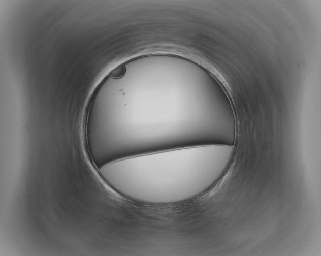 X0000113041533200908271024