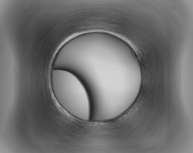 X0000113041534200908271024