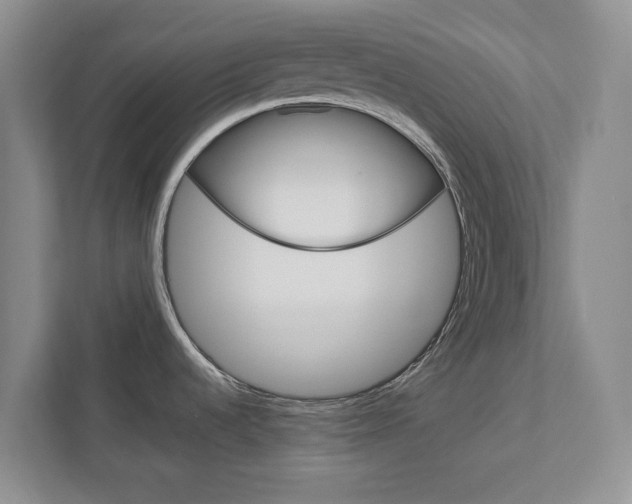 X0000113041536200908271024