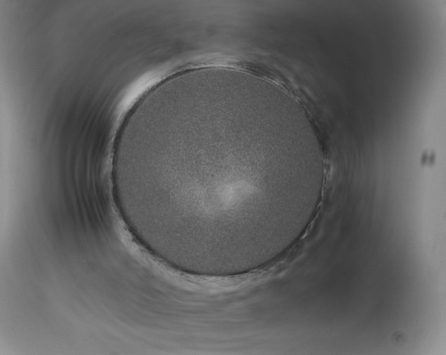 X0000113040006200908271517