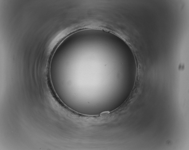 X0000113040007200908271517