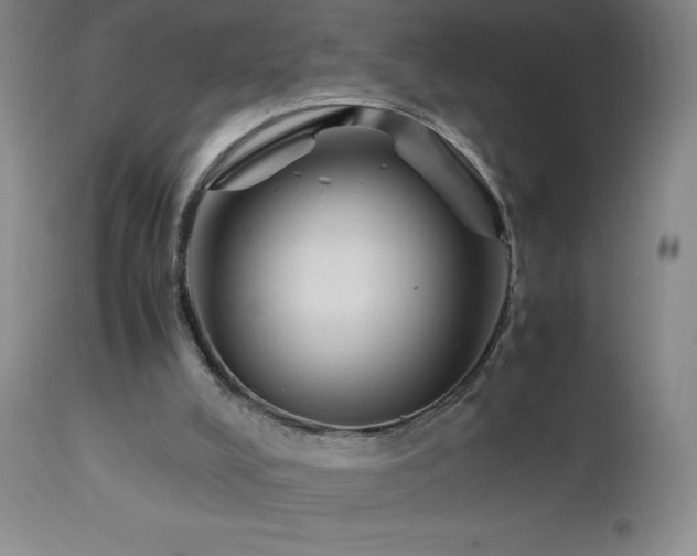 X0000113040008200908271517