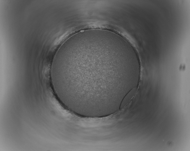 X0000113040009200908271517