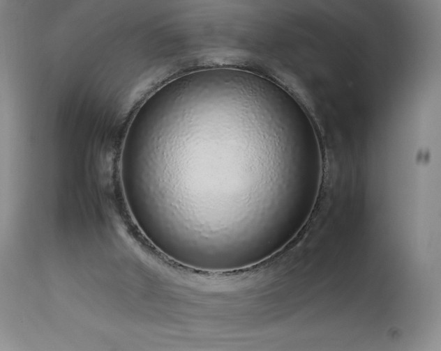 X0000113040010200908271517