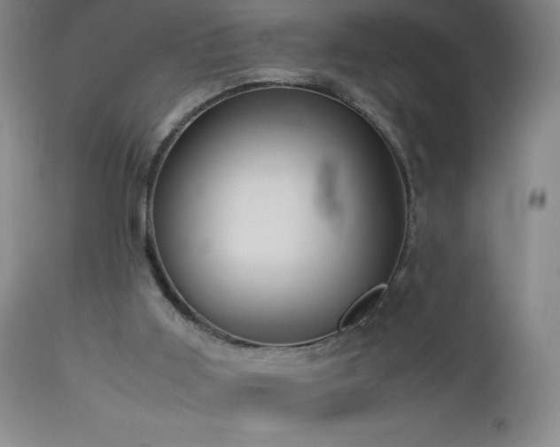 X0000113040011200908271517