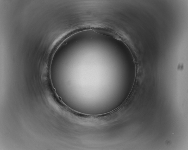 X0000113040012200908271517