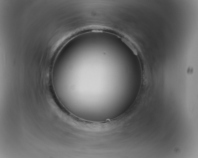 X0000113040015200908271517