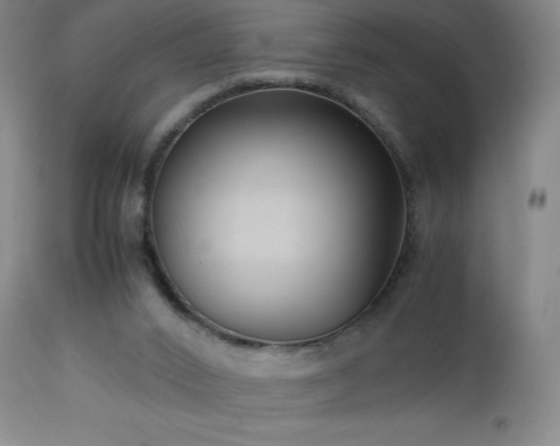 X0000113040016200908271517
