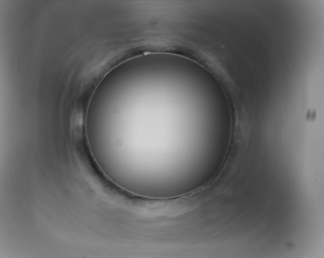 X0000113040021200908271517
