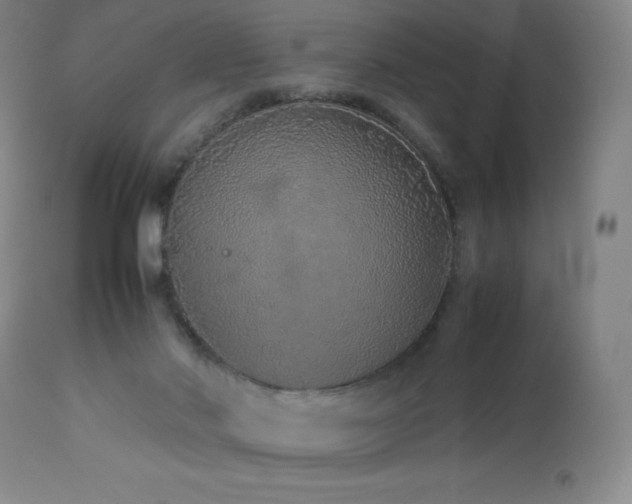 X0000113040022200908271517