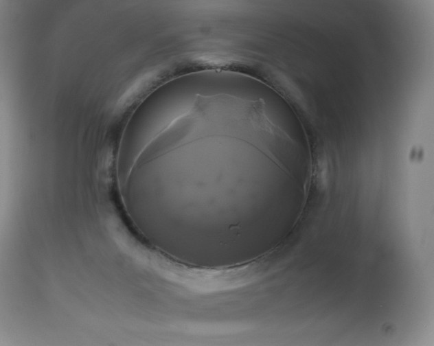 X0000113040023200908271517