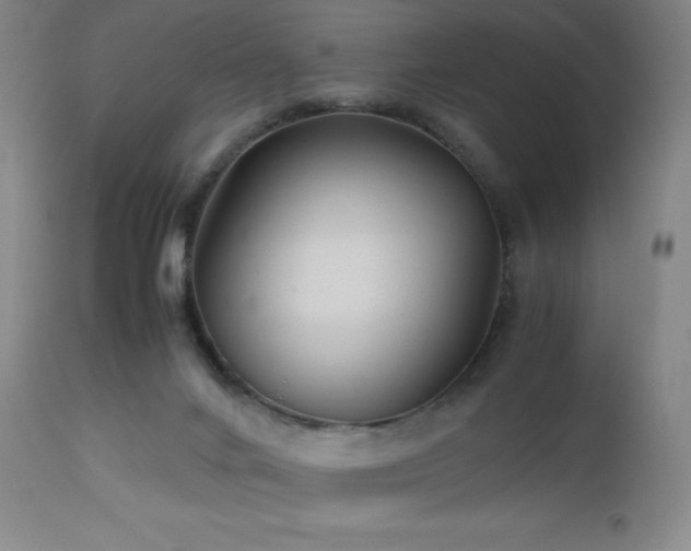 X0000113040024200908271517
