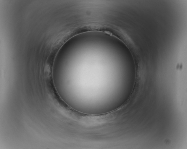 X0000113040025200908271517